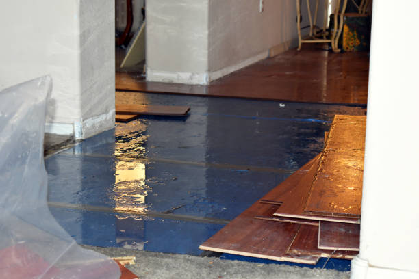 Professional Basement Flood Cleanup technician working in Franklinville, NC